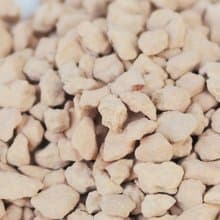 【荳荳多肉】【珪藻土】喬遷│送禮│升遷│多肉植物