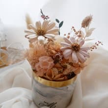 Miss。花謎 【曖曖內含光】小雛菊桌花