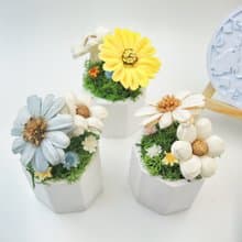 愛麗絲花園 擴香小盆花 擴香花 永生花 桌花