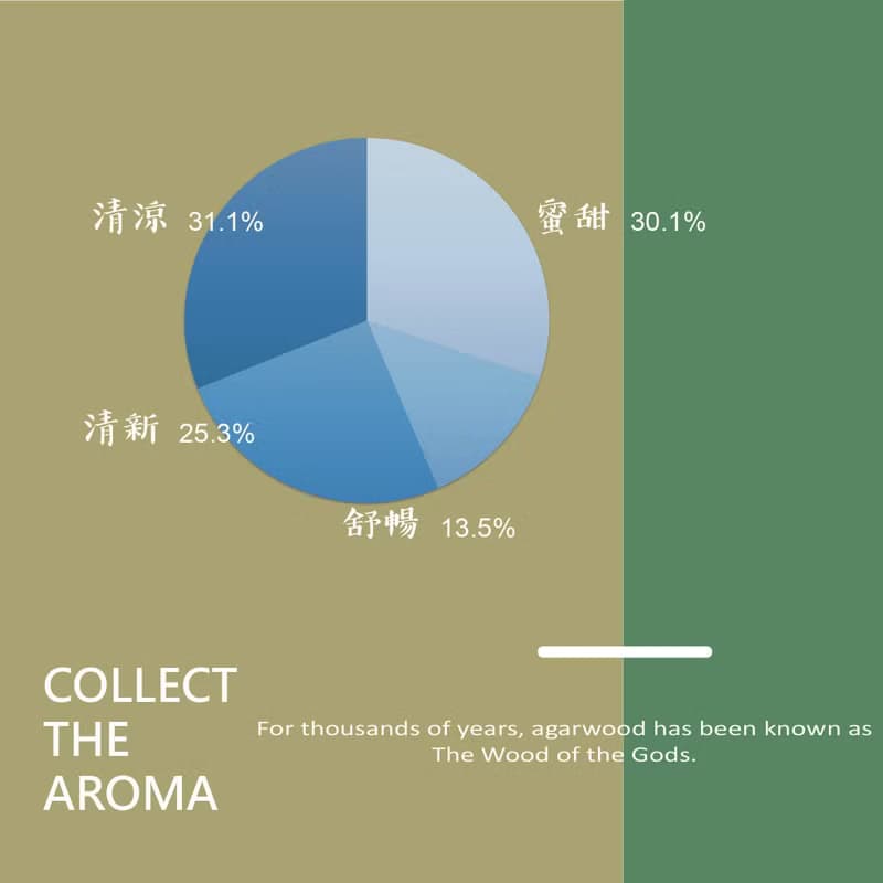 【隨形蟲漏款】天然大王棋楠沉香雙圈手串(鎖骨鍊)6-8mm