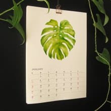 植物的靜默 2025 2026年曆月曆掛曆 給植物愛好者的治癒新年禮物2