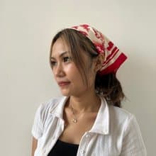 Little Red Riding Hood Mini Scarf