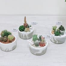 【24h出貨.超療癒桌上型造景】多肉奇幻樂園渲染水泥盆 送小動物