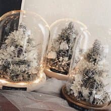 夜燈款永生白雪聖誕樹玻璃罩鐘 玻璃罩 大款 永生花 聖誕節