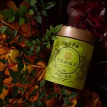 馨香烏龍Xin Xiang Oolong Tea | 台灣茶葉・茶葉伴手禮