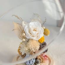 桔梗之語 x 永生乾燥花玻璃罩