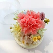 畢業花束禮物 永生康乃馨玫瑰玻璃盅罩 生日開幕店面居家佈置