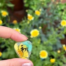 【雛菊盛夏】透明款結他撥片 Guitar Pick