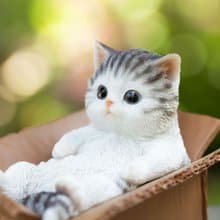 デバリエ【正規品】ca237-s 猫の置物 サバトラ 小物入れ レジン製 ギフト 誕生日プレゼント