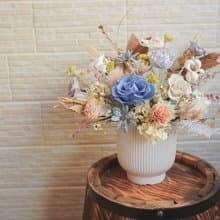 【竒花】繽紛果園永生乾燥盆花 開幕 喬遷 升遷 生日