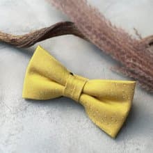 小白點亮黃領結 -像一顆顆的小白糖 給你生活一點甜