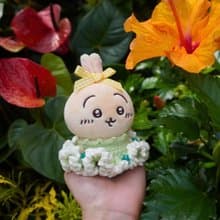 晨光蜜露-露珠日夜 娃衣 吉伊卡哇 ちいかわ Chiikawa 10cm