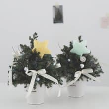 聖誕樹 \ 永生雪松 小顆儀式感也足 緞帶公主風 星星