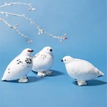 【YOU+MORE!】可愛岩雷鳥收納包系