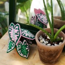 【俄羅斯刺繡】小後院彩葉芋. 書籍材料包. 繡線刺繡