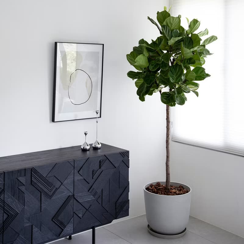 室內植栽規劃 辦公室綠化 商業空間植栽規劃 居家植栽規劃 植栽