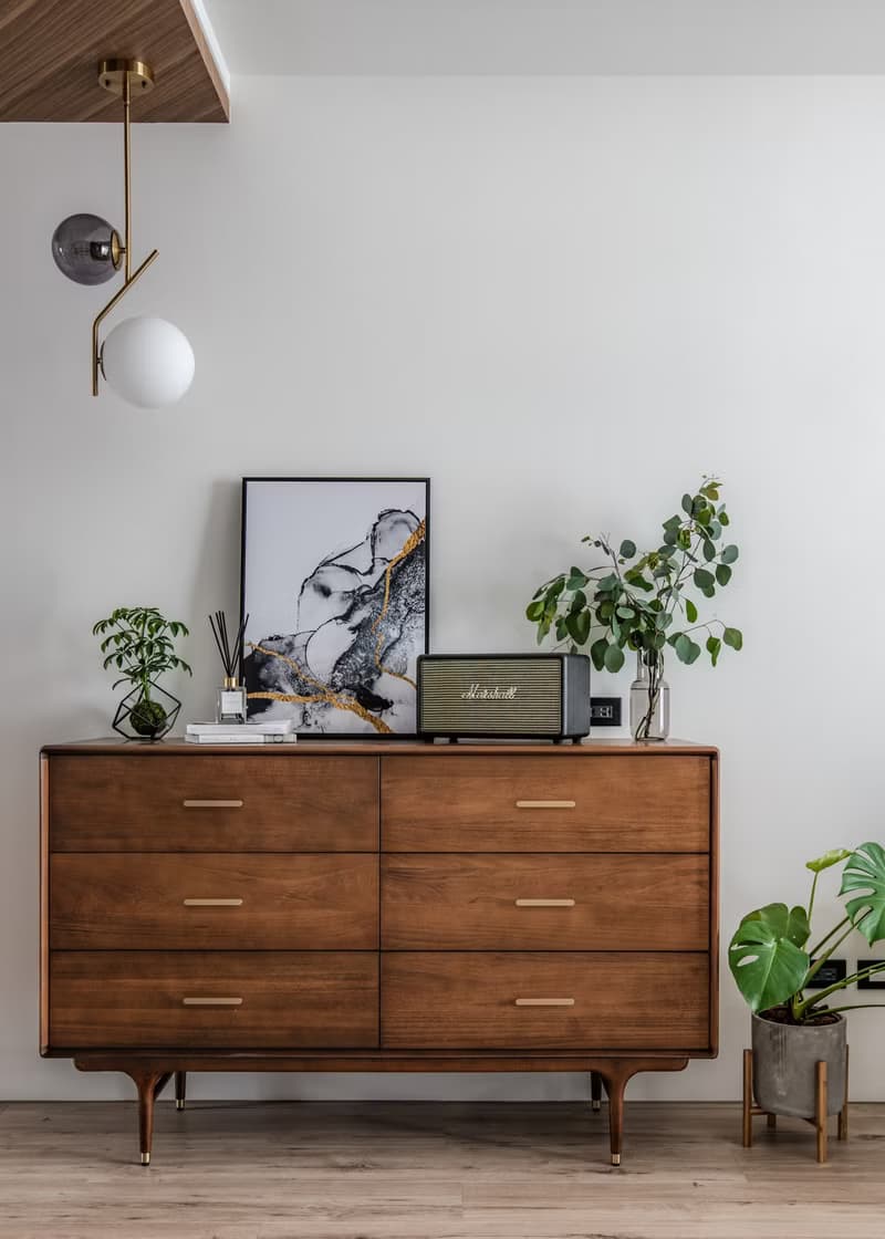 室內植栽規劃 辦公室綠化 商業空間植栽規劃 居家植栽規劃 植栽