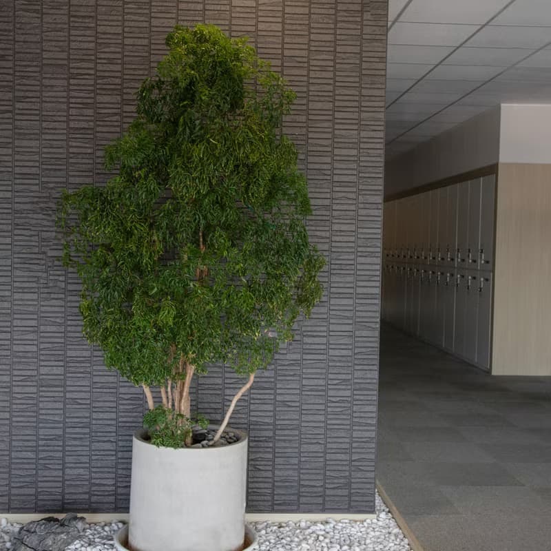 室內植栽規劃 辦公室綠化 商業空間植栽規劃 居家植栽規劃
