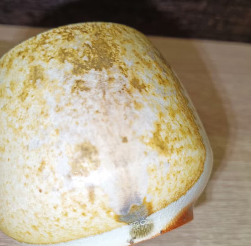 柴燒無釉水杯.茶杯-鶯歌李玟叡