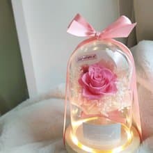 Sheer Whisper絮語藏花_迷你永生花束玻璃罩氣氛燈/玻璃盅花禮