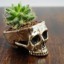 Skull pots cactus small potted plants in White bronze silver color