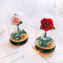 小王子永生玫瑰  不凋花 送禮 乾燥花 求婚 結婚禮物 情人節禮物