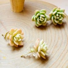 微型 多肉黏土耳環/耳夾 耳飾 飾品 貼耳款