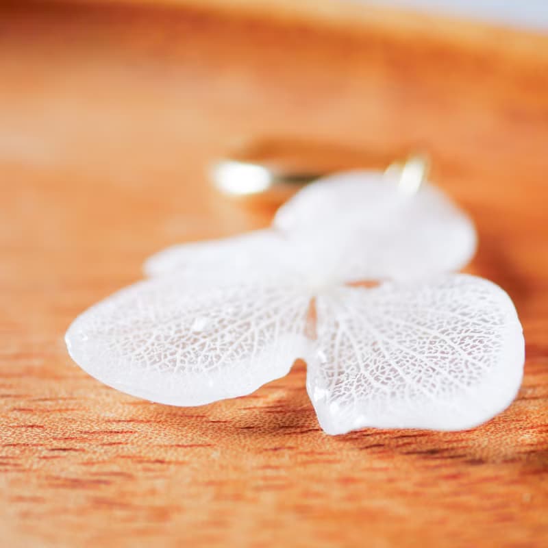 本物の紫陽花/白/揺れるアジサイピアス