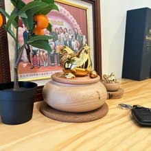 【蛇年開運必備】金雞聚寶套組(招財金)