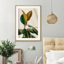 青翠碧綠•橡皮樹I -招財裝飾畫/新居落成/複製畫/開店禮物/綠植