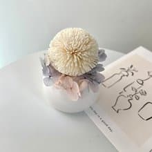 【艸弄花藝】擴香花禮盒-乒乓菊 (附香氛精油)