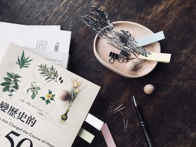 【換季特賣】蕨對置物掛架-鐵線蕨| 飾品 置物盤 母親節 女 禮物