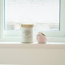 【送禮首選】天然藺草除臭捲Deo-Grass 雜誌推薦 長效型消除臭味