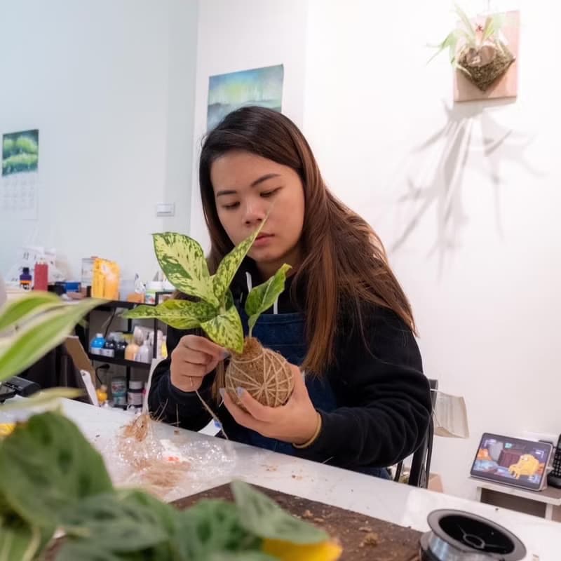 【體驗】【職人體驗】植療苔球手作x新竹竹北x團報更優惠x企業團體x文化幣