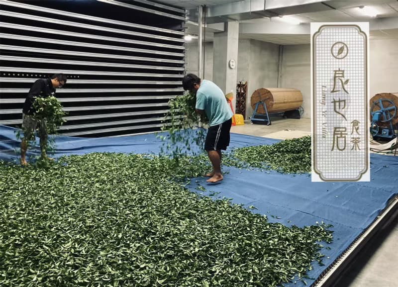 囍茶|台東鹿野-蜜香紅茶-手摘原葉立體茶包 6入|良也居食茶