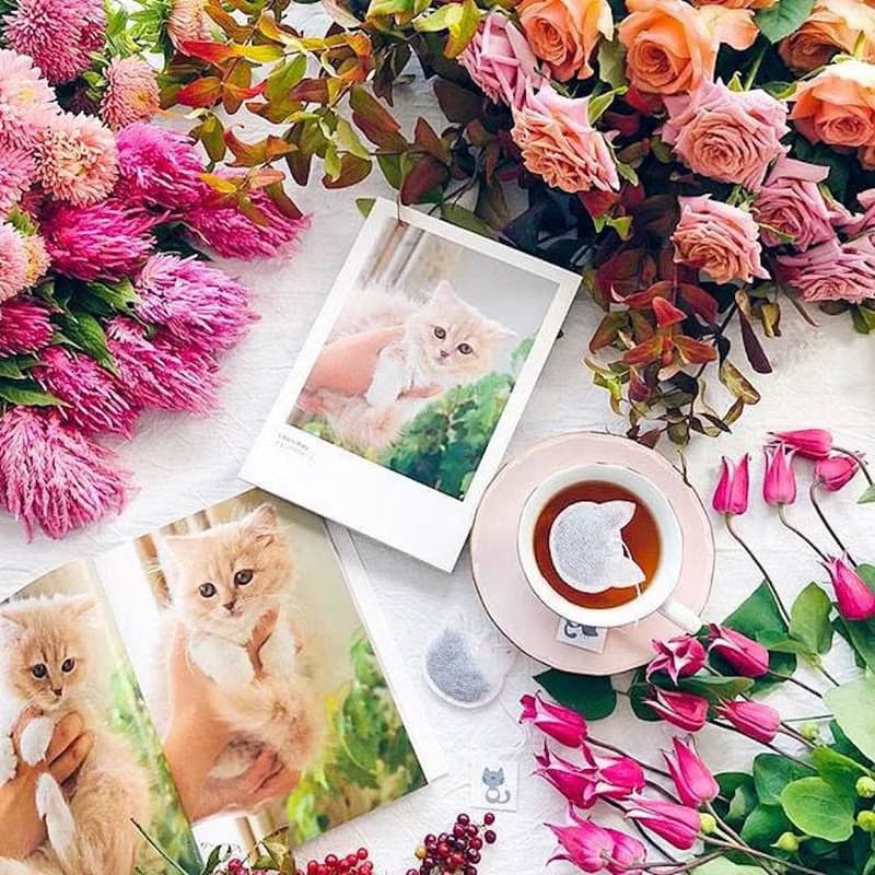 5 Kawai Cat Shaped Tea Bags, Tea Gifts For Cat Lovers, Kitty head bag, Birthday