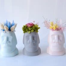 Goody Bag - 摩艾不凋花、永生花、乾燥花盆栽 2個一組福袋