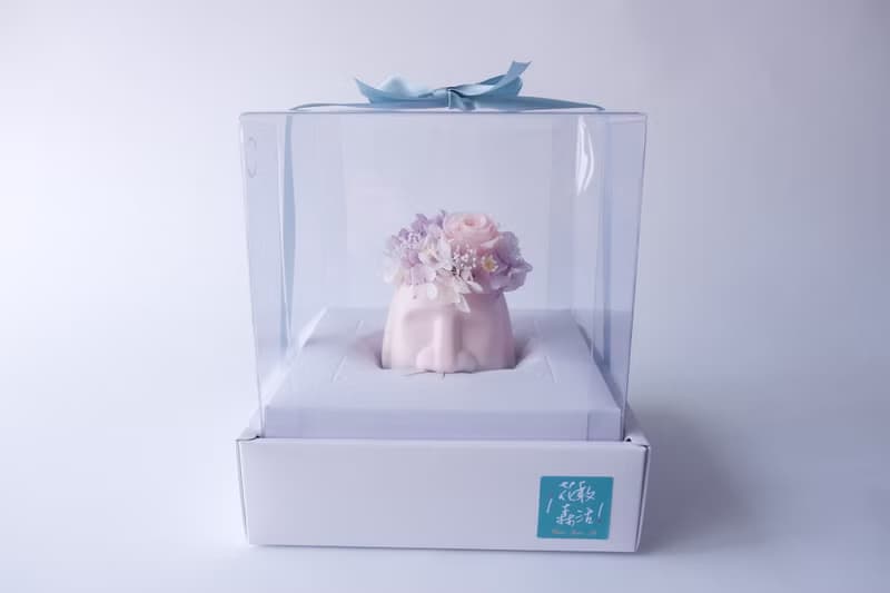 Goody Bag - 摩艾不凋花、永生花、乾燥花盆栽 2個一組福袋