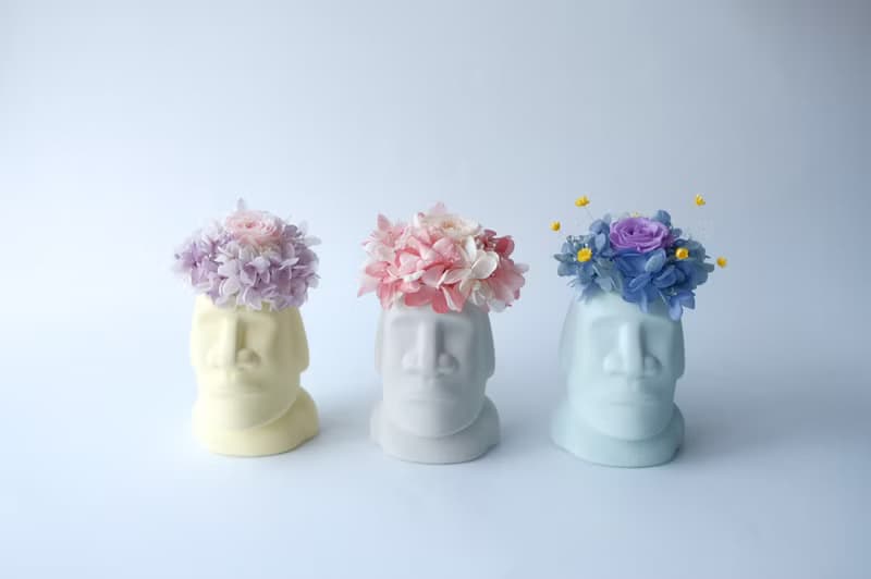 Goody Bag - 摩艾不凋花、永生花、乾燥花盆栽 2個一組福袋