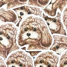 水彩插畫小動物 - 貴婦狗 PVC防水貼紙 (霧面) 行李箱貼紙 電腦貼