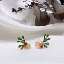 鹿角蕨款