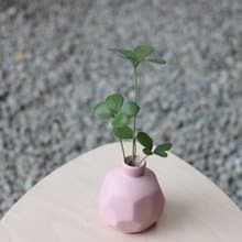水培植栽│幸運鐵樹_室內植物 磨砂陶瓷幾何花瓶 粉