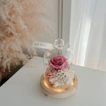 Journee莓果粉永生玫瑰玻璃罩小夜燈禮盒 七夕情人節花束