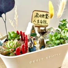 多肉組盆 多肉植物 日式枯山水 向左走向右走 幾米 情人節禮 情侶