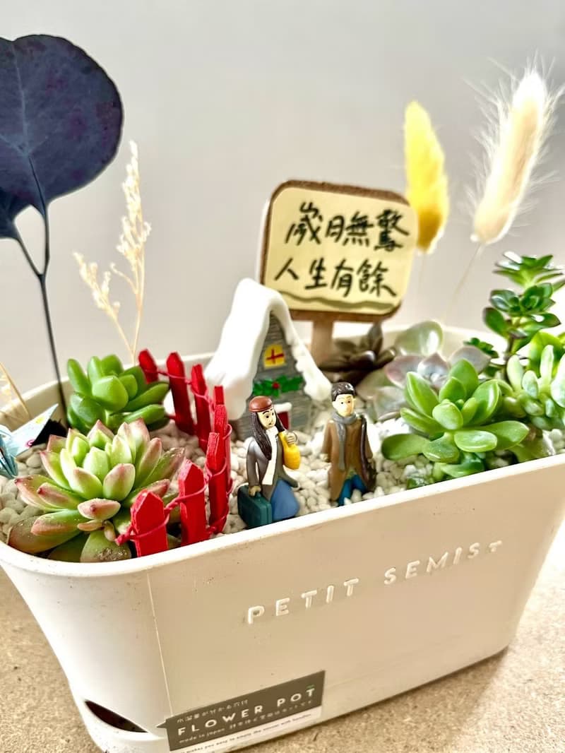 多肉組盆 多肉植物 日式枯山水 向左走向右走 幾米 情人節禮 情侶