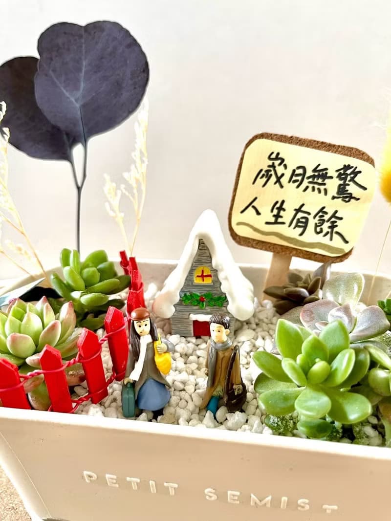 多肉組盆 多肉植物 日式枯山水 向左走向右走 幾米 情人節禮 情侶