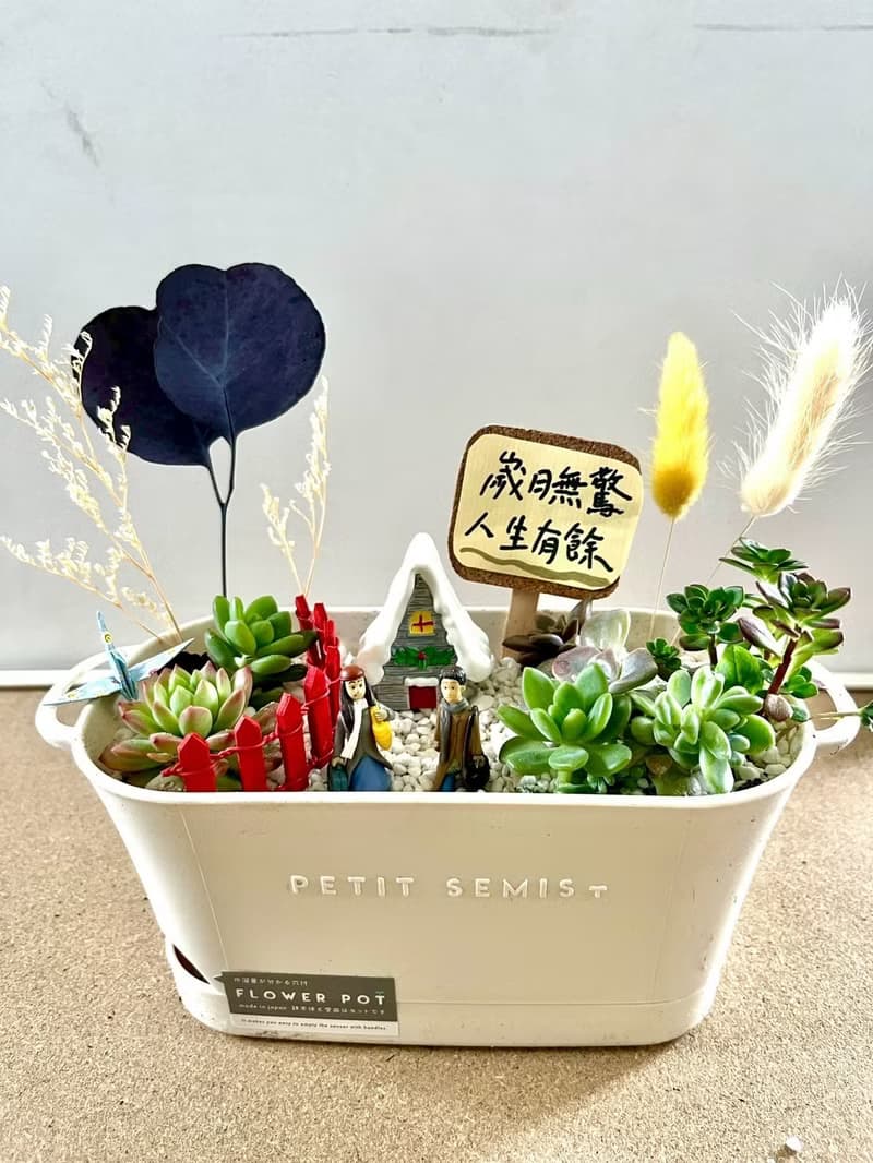 多肉組盆 多肉植物 日式枯山水 向左走向右走 幾米 情人節禮 情侶