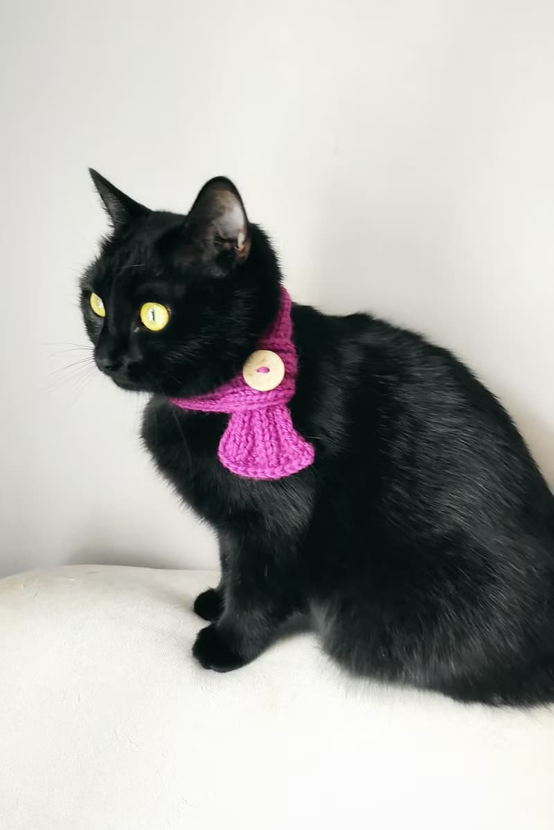 Pet scarf with button Dog scarf Cat scarf Pet collar Pet cowl Knit pet neck wear