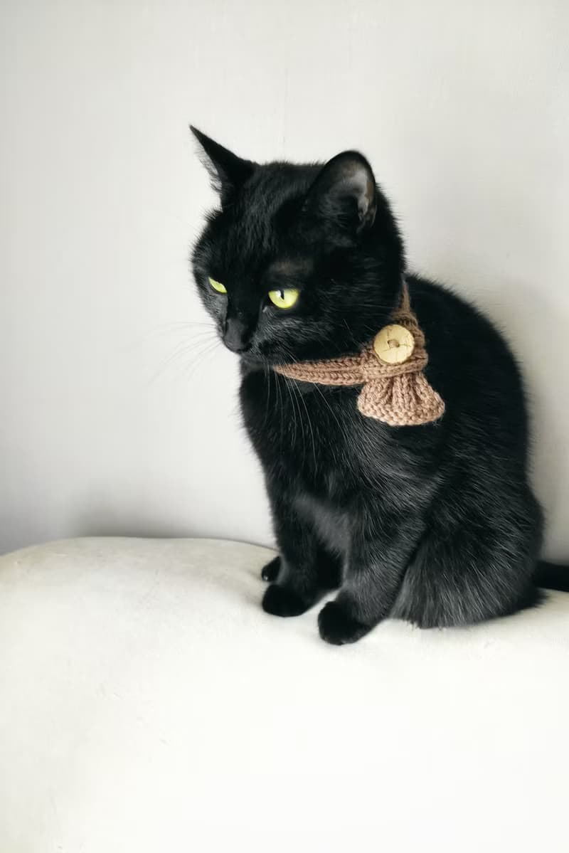 Pet scarf with button Dog scarf Cat scarf Pet collar Pet cowl Knit pet neck wear