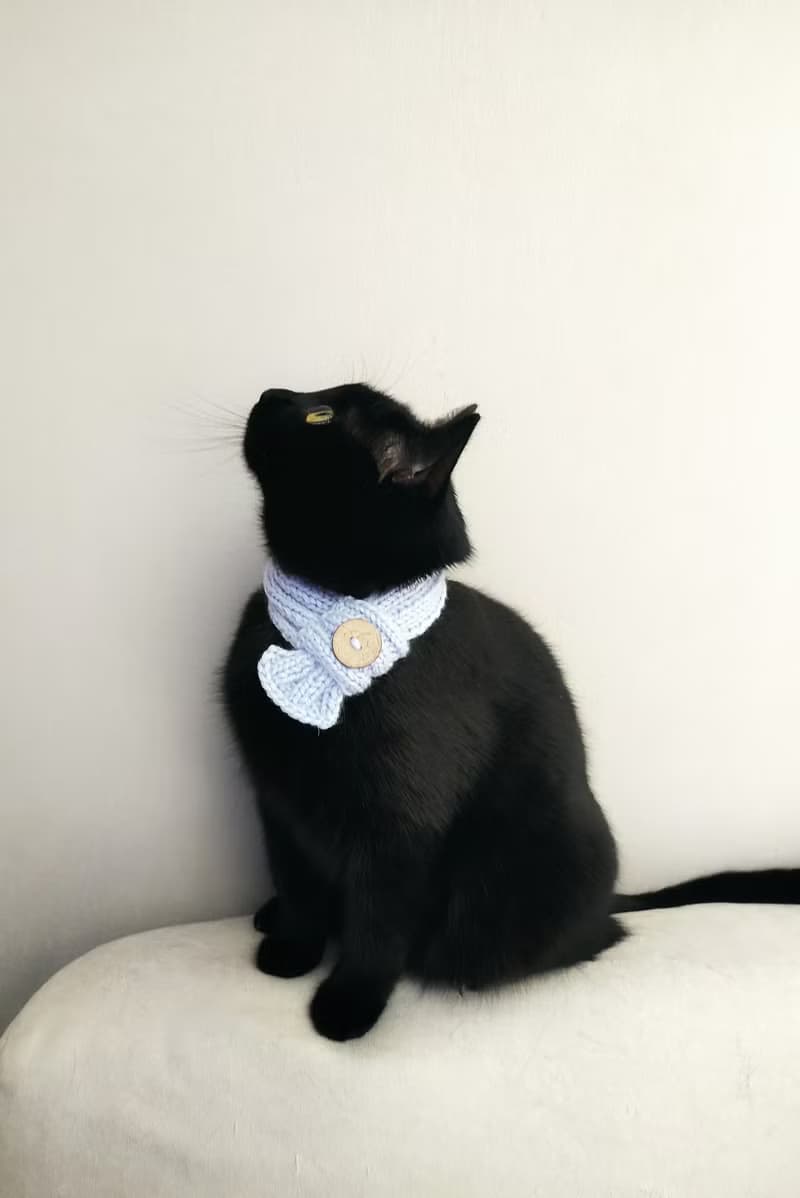 Pet scarf with button Dog scarf Cat scarf Pet collar Pet cowl Knit pet neck wear